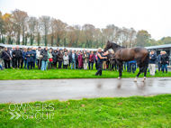 WG031025-65 - Jaramillo